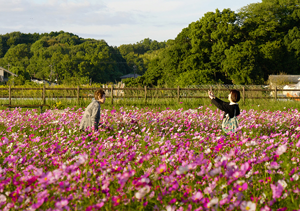 遺影、秋空に近く (2026, 84 minutes)