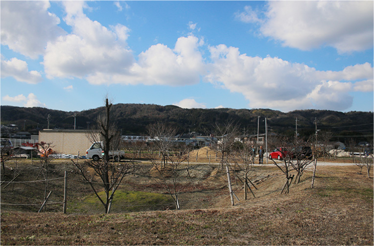 「咲かす農園」さんにお話を聞きました