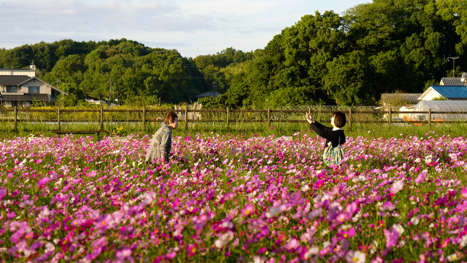 遺影、秋空に近く